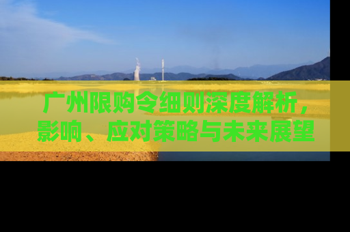 广州限购令细则深度解析，影响、应对策略与未来展望