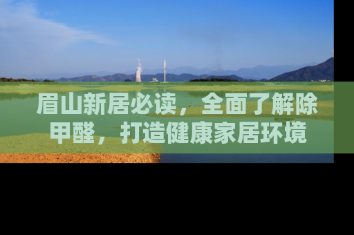 眉山新居必读，全面了解除甲醛，打造健康家居环境