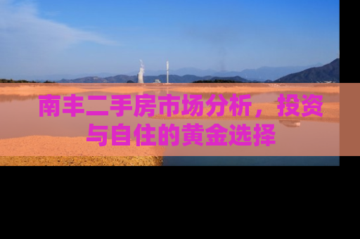 南丰二手房市场分析，投资与自住的黄金选择