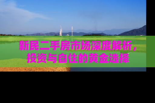 新民二手房市场深度解析，投资与自住的黄金选择