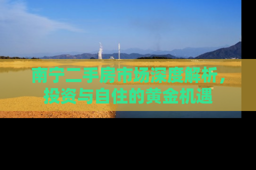 南宁二手房市场深度解析，投资与自住的黄金机遇
