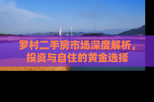 罗村二手房市场深度解析，投资与自住的黄金选择