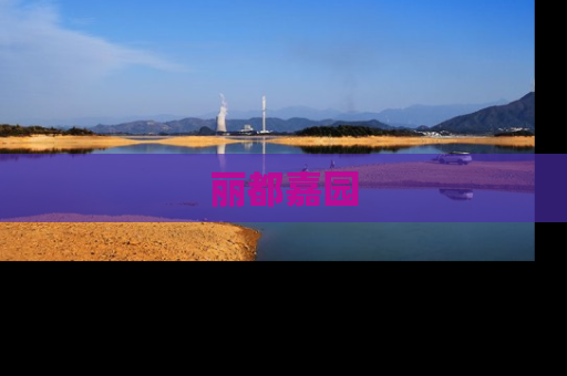 丽都嘉园