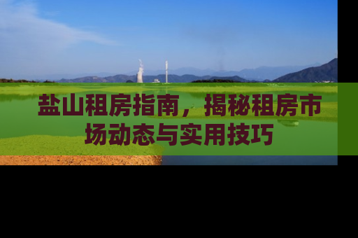 盐山租房指南，揭秘租房市场动态与实用技巧