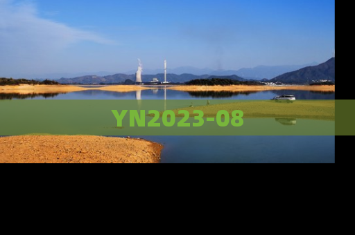 YN2023-08