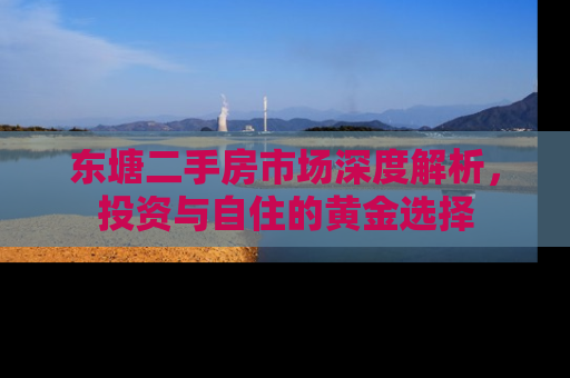 东塘二手房市场深度解析，投资与自住的黄金选择