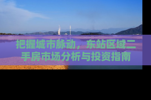 把握城市脉动，东站区域二手房市场分析与投资指南