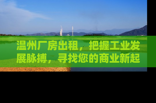温州厂房出租，把握工业发展脉搏，寻找您的商业新起点
