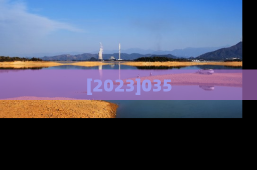 [2023]035