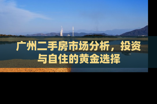 广州二手房市场分析，投资与自住的黄金选择