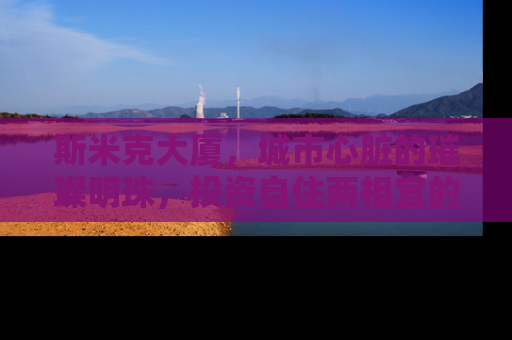 斯米克大厦，城市心脏的璀璨明珠，投资自住两相宜的黄金选择