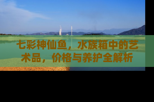 七彩神仙鱼，水族箱中的艺术品，价格与养护全解析