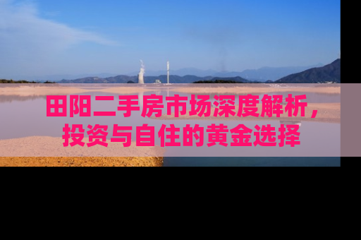 田阳二手房市场深度解析，投资与自住的黄金选择