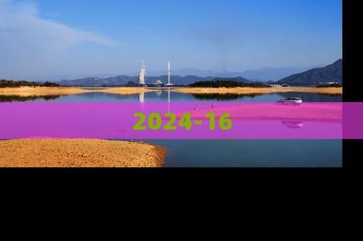 2024-16