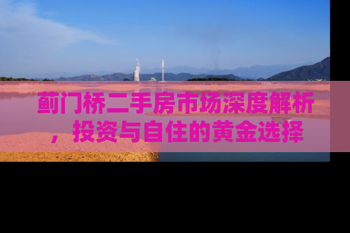 蓟门桥二手房市场深度解析，投资与自住的黄金选择