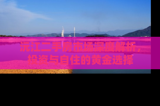 沅江二手房市场深度解析，投资与自住的黄金选择