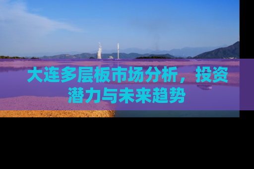 大连多层板市场分析，投资潜力与未来趋势