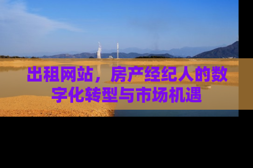 出租网站，房产经纪人的数字化转型与市场机遇
