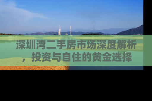 深圳湾二手房市场深度解析，投资与自住的黄金选择