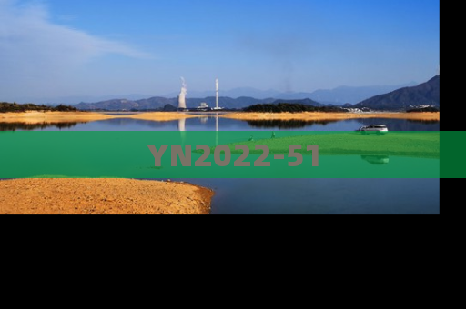 YN2022-51