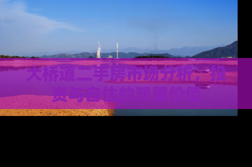 大桥道二手房市场分析，投资与自住的双重价值