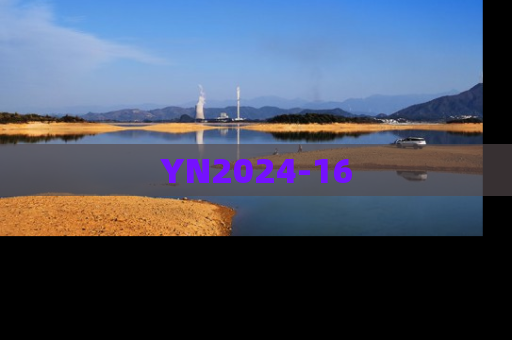 YN2024-16
