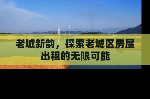 老城新韵，探索老城区房屋出租的无限可能