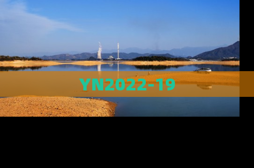 YN2022-19
