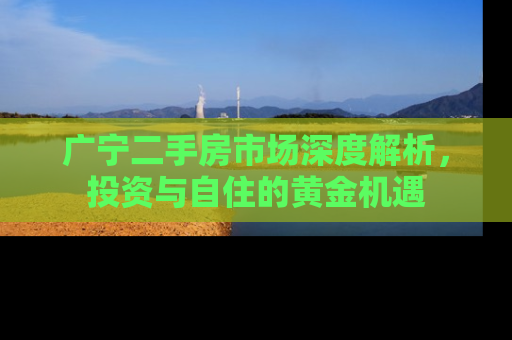 广宁二手房市场深度解析，投资与自住的黄金机遇