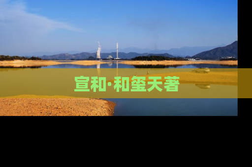 宣和·和玺天著