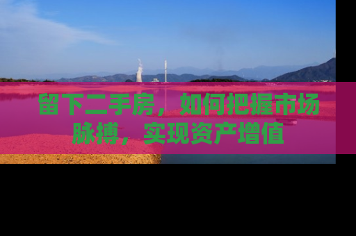 留下二手房，如何把握市场脉搏，实现资产增值