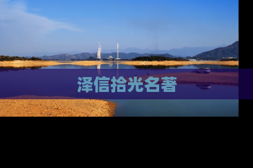泽信拾光名著