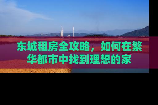 东城租房全攻略，如何在繁华都市中找到理想的家