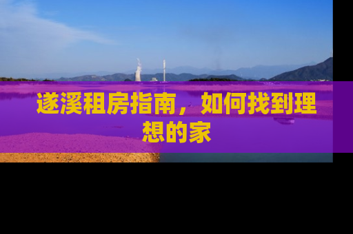 遂溪租房指南，如何找到理想的家