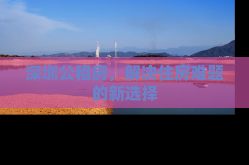 深圳公租房，解决住房难题的新选择
