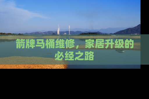 箭牌马桶维修，家居升级的必经之路