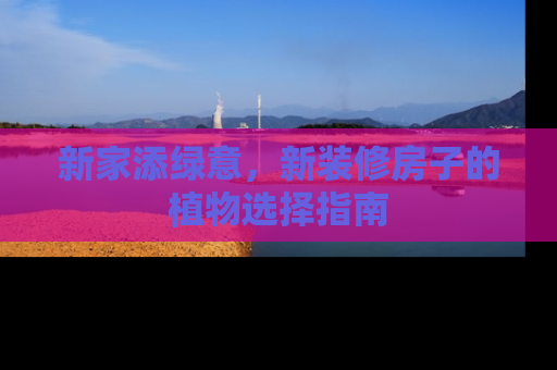新家添绿意，新装修房子的植物选择指南
