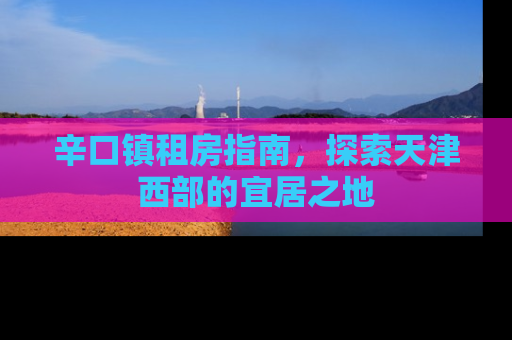 辛口镇租房指南，探索天津西部的宜居之地