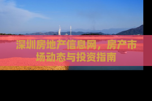 深圳房地产信息网，房产市场动态与投资指南