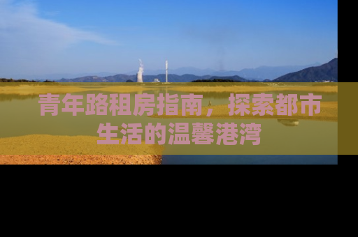 青年路租房指南，探索都市生活的温馨港湾