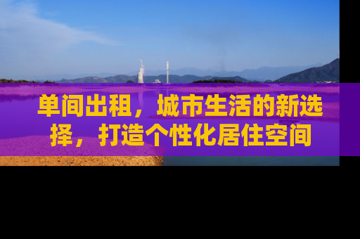单间出租，城市生活的新选择，打造个性化居住空间