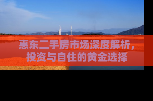 惠东二手房市场深度解析，投资与自住的黄金选择