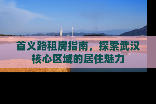 首义路租房指南，探索武汉核心区域的居住魅力