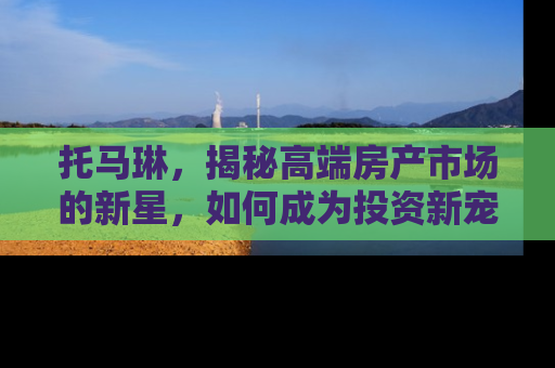 托马琳，揭秘高端房产市场的新星，如何成为投资新宠？