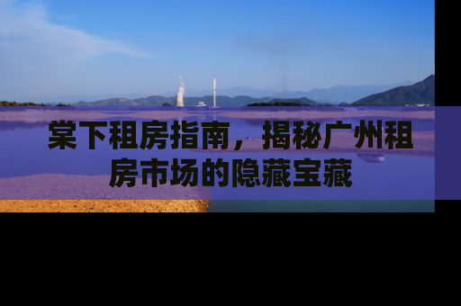 棠下租房指南，揭秘广州租房市场的隐藏宝藏