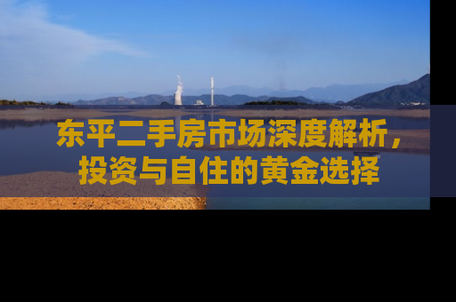 东平二手房市场深度解析，投资与自住的黄金选择