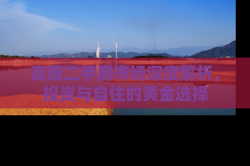 高唐二手房市场深度解析，投资与自住的黄金选择