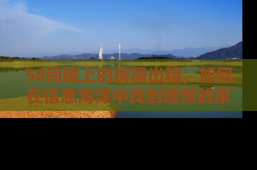 58同城上的房屋出租，如何在信息海洋中找到理想的家