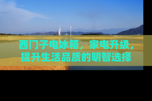 西门子电冰箱，家电升级，提升生活品质的明智选择