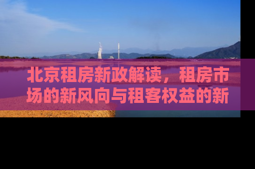 北京租房新政解读，租房市场的新风向与租客权益的新保障